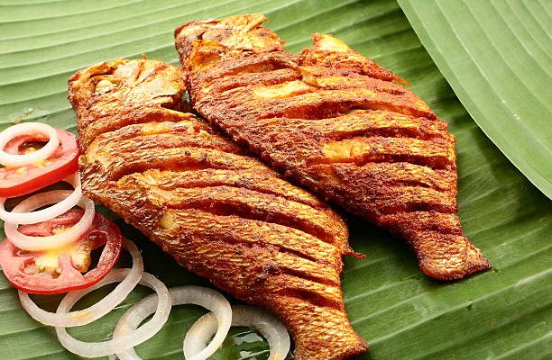 Fish Dishes Recipes