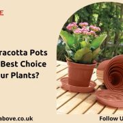 lightweight terracotta pots