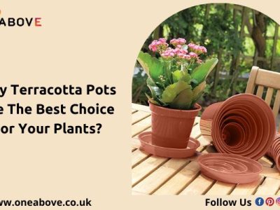 lightweight terracotta pots