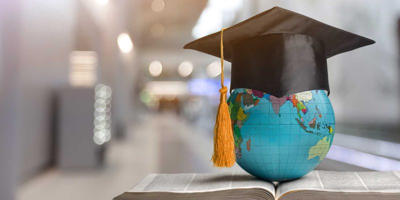 Education Consultant